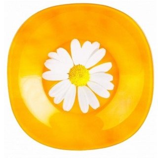 Сервиз столовый Luminarc Paquerette Melon G8906 38пр.
