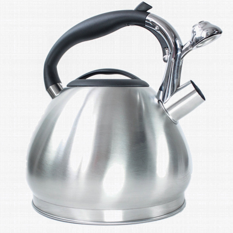 Чайник металлический Hoffmann HM 5511 3.7л