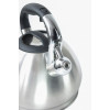 Чайник металлический Hoffmann HM 5511 3.7л