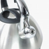 Чайник металлический Hoffmann HM 5511 3.7л