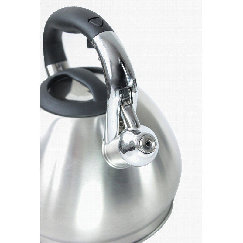 Чайник металлический Hoffmann HM 5511 3.7л
