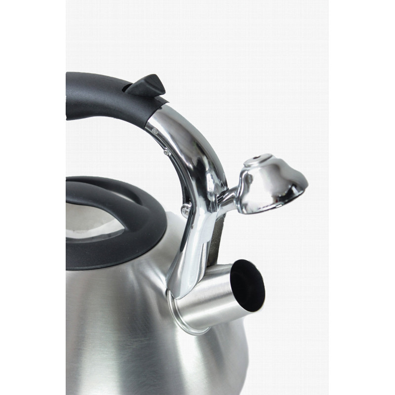 Чайник металлический Hoffmann HM 5511 3.7л