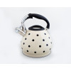 Чайник металлический Hoffmann HM 5512 3.7л