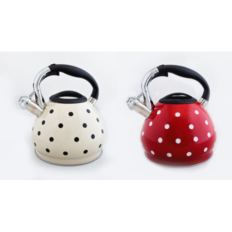 Чайник металлический Hoffmann HM 5512 3.7л