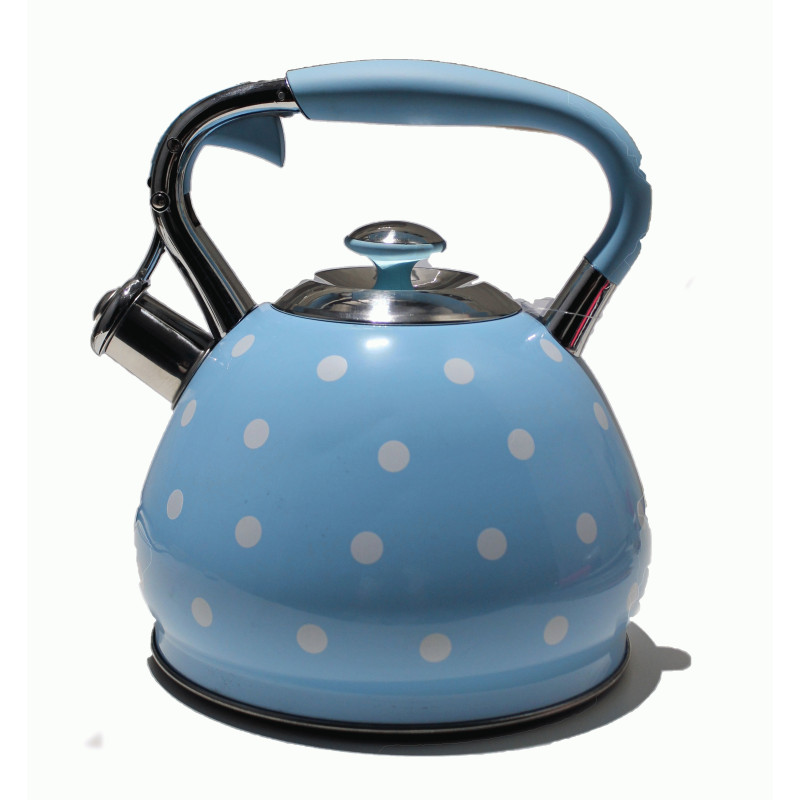 Чайник металлический Hoffmann HM 5529 3.3л