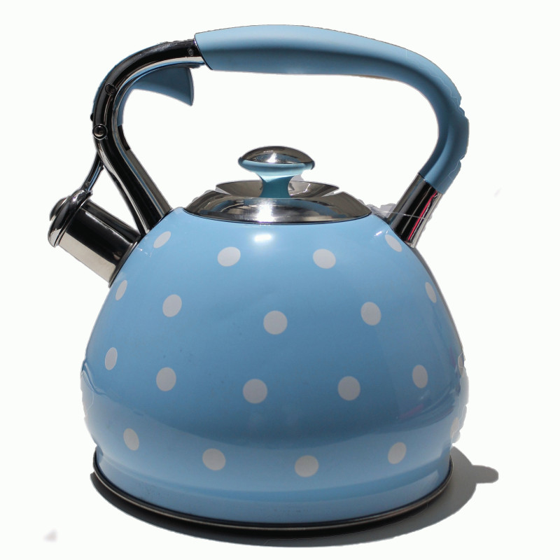 Чайник металлический Hoffmann HM 5529 3.3л