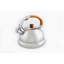 Чайник металлический Hoffmann HM 5516 3.0л