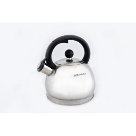 Чайник металлический Hoffmann HM 5518 2.0л