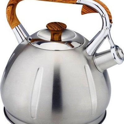 Чайник металлический Hoffmann HM 5531 3.3л