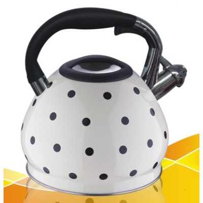 Чайник металлический Hoffmann HM 5536 4.5л