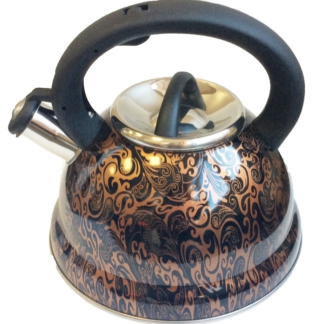 Чайник металлический Hoffmann HM 5539 3.3л