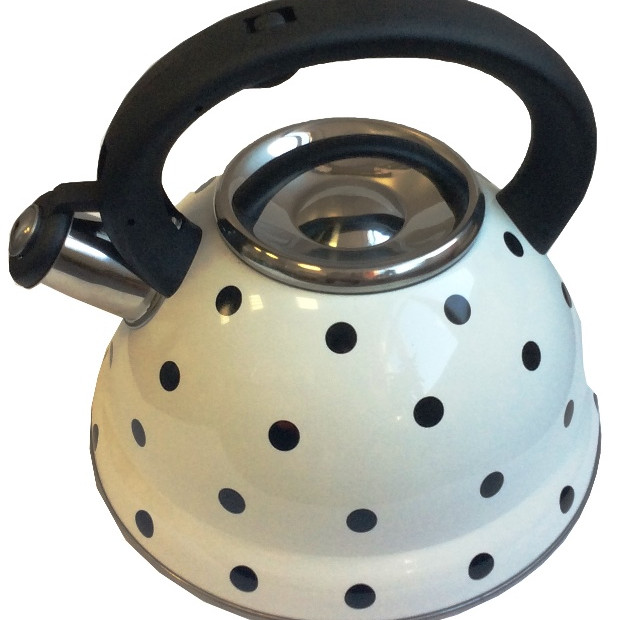 Чайник металлический Hoffmann HM 5540 3.3л