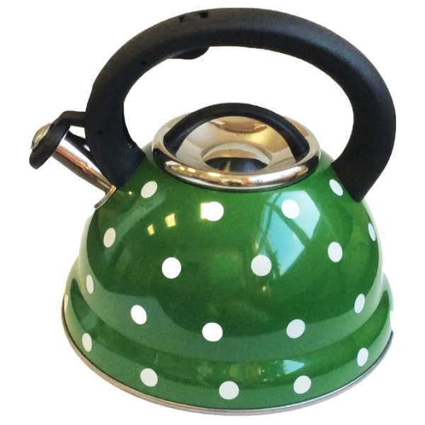 Чайник металлический Hoffmann HM 5540 3.3л