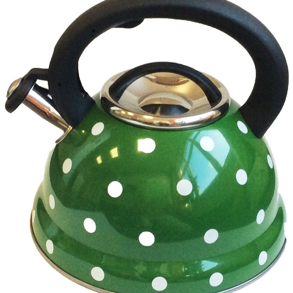 Чайник металлический Hoffmann HM 5540 3.3л