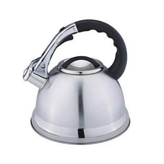 Чайник металлический Hoffmann HM 5546 3.0л