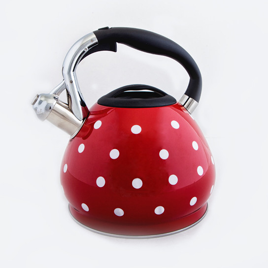 Чайник металлический Hoffmann HM 5512 В 3.5л