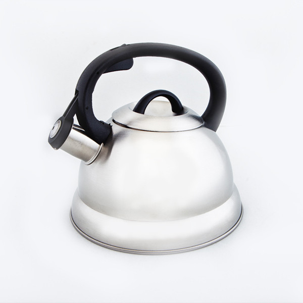 Чайник металлический Hoffmann HM 5513 2.8л