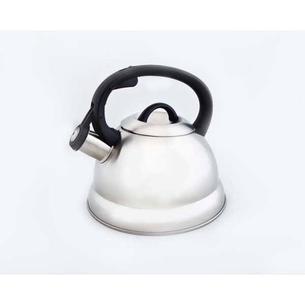 Чайник металлический Hoffmann HM 5513 2.8л