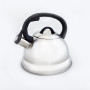 Чайник металлический Hoffmann HM 5513 2.8л