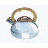 Чайник металлический Hoffmann HM 5527 3.3л