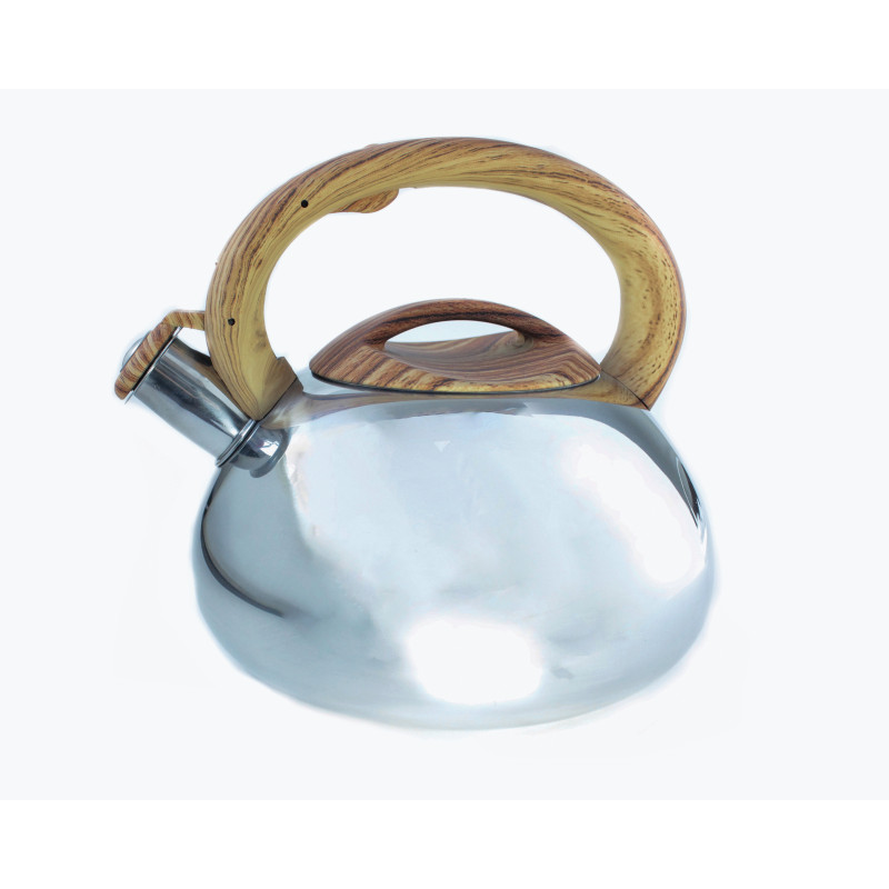 Чайник металлический Hoffmann HM 5527 3.3л