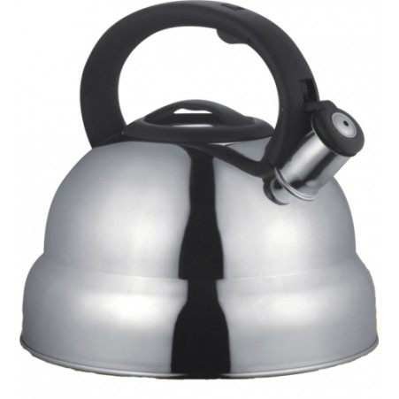 Чайник металлический Hoffmann HM 5541 4.8л