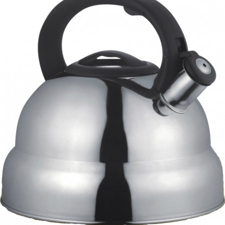Чайник металлический Hoffmann HM 5541 4.8л