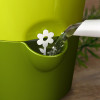 Горшок для зелени с колпаком FRESH HERBS GROW белый 515565