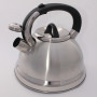 Чайник металлический Hoffmann HM 5549 3.3л