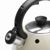 Чайник металлический Mayer&Boch MB 25892 2л