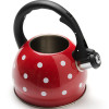 Чайник металлический Mayer&Boch MB 25893 2л