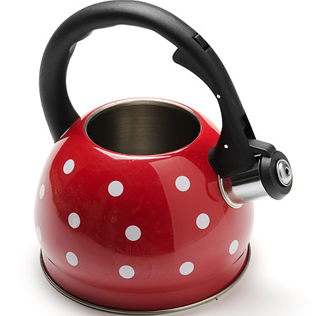Чайник металлический Mayer&Boch MB 25893 2л
