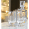 Набор бокалов для виски Riedel Vinum 6416/80 2шт.