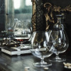 Бокалы для бренди Riedel Vinum 6416/18 2шт.