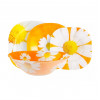 Столовый сервиз Luminarc Carine Paquerette Melon H6728 19 пр