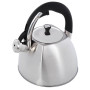 Чайник металлический Maestro MR-1333 3 л