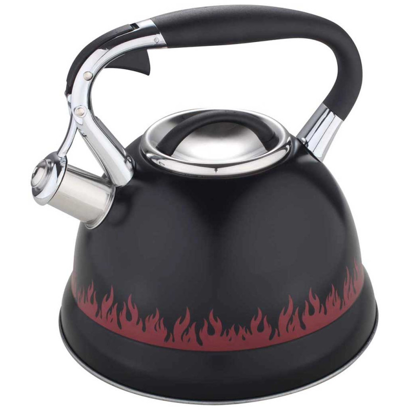 Чайник металлический Hoffmann HM 5576 3,0 л
