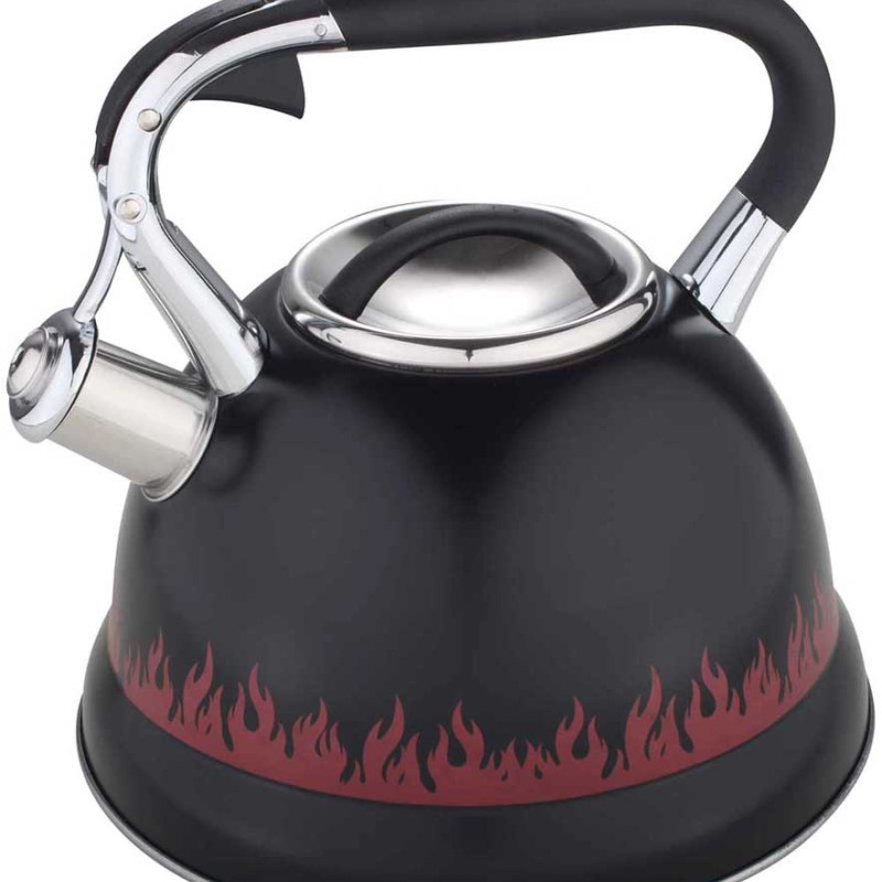 Чайник металлический Hoffmann HM 5576 3,0 л