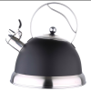 Чайник со свистком Bergner BG-3744 - 3л