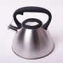 Чайник металлический Kamille KM-0651 3 л