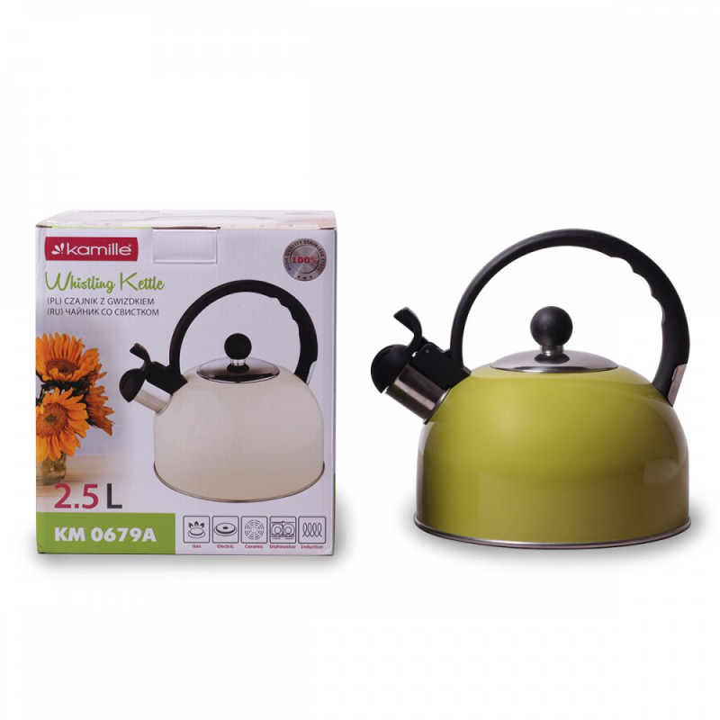 Чайник металлический Kamille KM-0679A 2,5 л