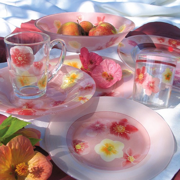 Столовый сервиз Luminarc Poeme Rose E0131 38+7 пр