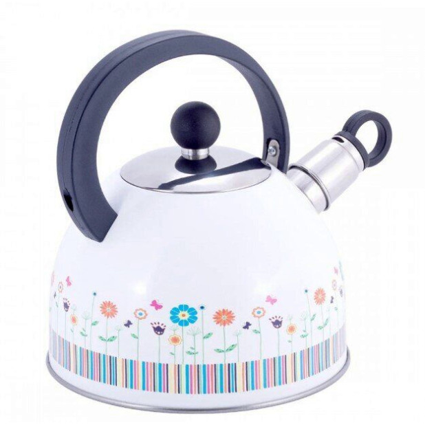 Чайник металлический Kamille KM-1079 1,8 л