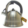 Чайник металлический Hoffmann HM 55103 3,3 л