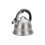 Чайник металлический Maestro MR 1320 3 л