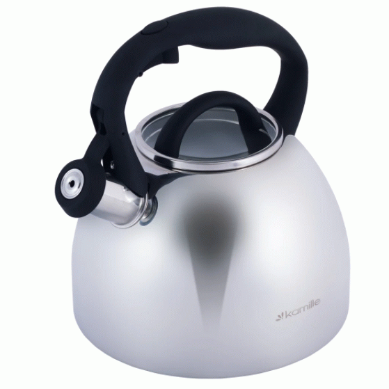 Чайник металлический Kamille KM-1089 2.7 л