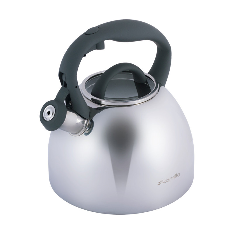 Чайник металлический Kamille KM-1088 2.7 л
