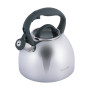 Чайник металлический Kamille KM-1088 2.7 л