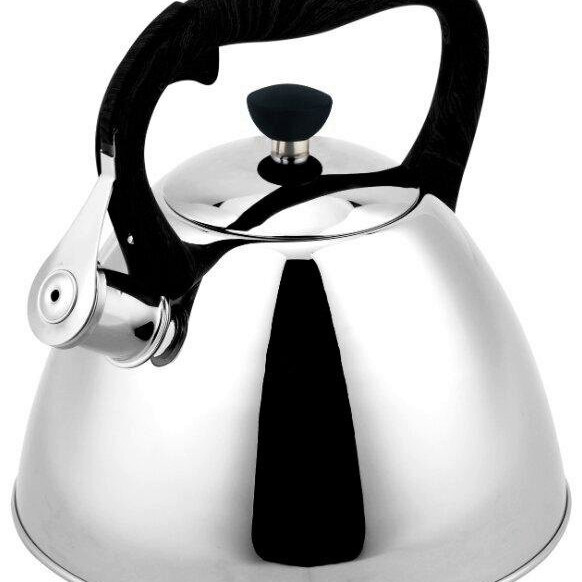 Чайник металлический Rainstahl RS-7694-35 3.5 л