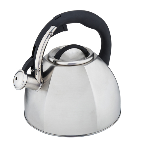 Чайник металлический Bella Cucina BC-1070 3 л